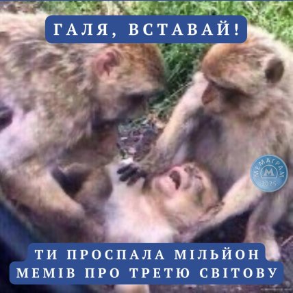Мемы о "Третьей мировой"