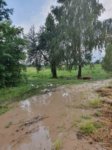 под черкассами молния убила 2 человек