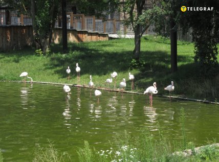 старейший зоопарк Украины