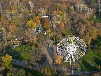 Дубовий гай