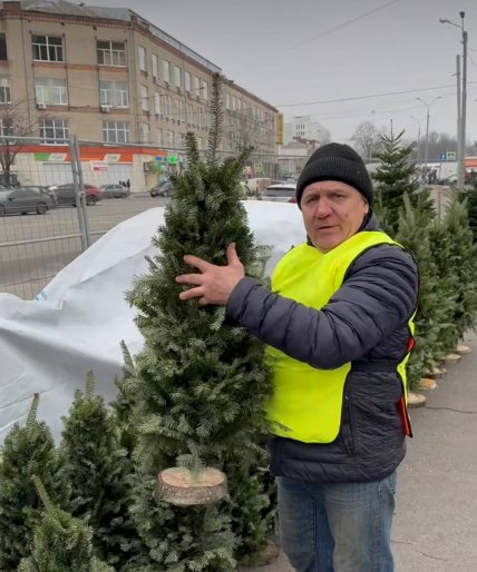 Сборная елка