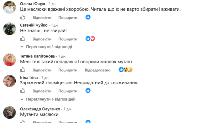 Какие маслята нельзя собирать