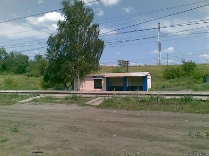 Платформа Звидки