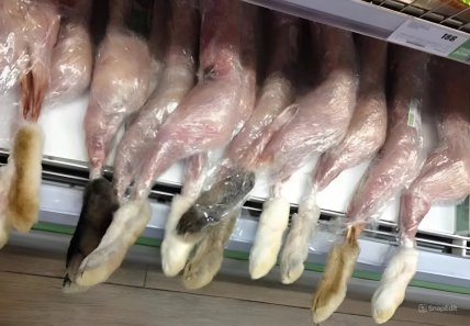 Точки кролика