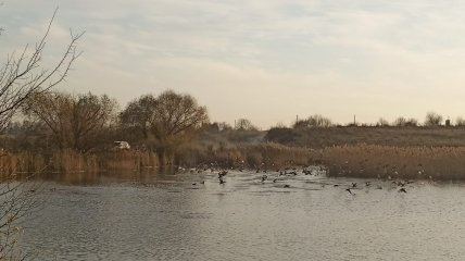 Добрятин озеро