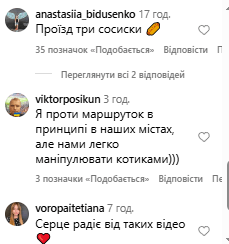 Українців зворушив кіт у маршрутці