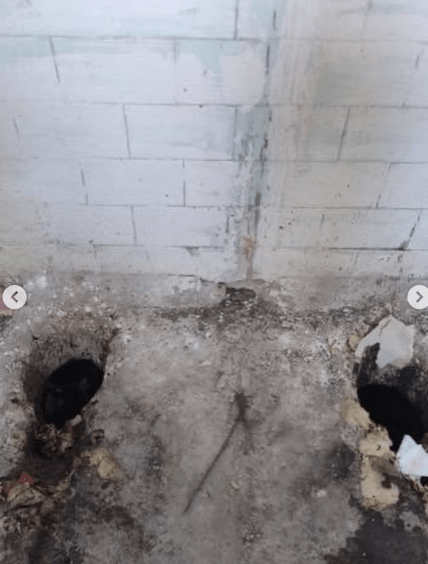 Як виглядає збірний пункт Київського міського ТЦК