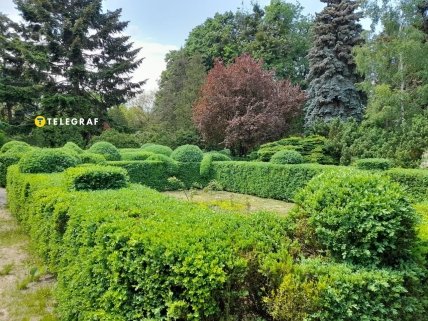 Кустовой мини-лабиринт