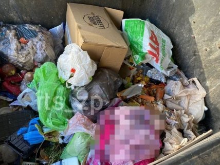 Тело ребенка вытащили из мусорного бака в Мелитополе