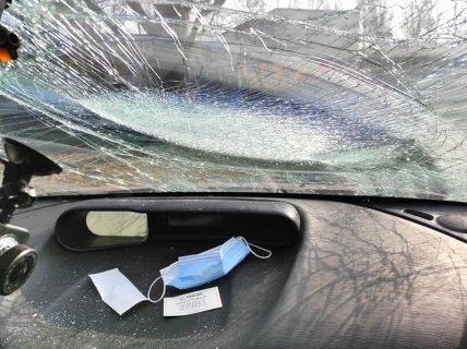 Кот вдохновил художника на картину, разбив лобовое стекло его машины