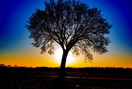 День дорівнює ночі