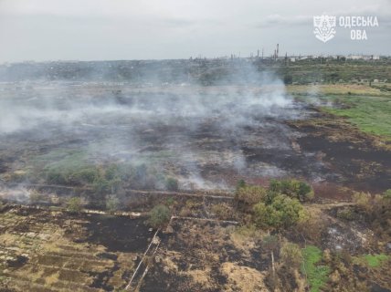 Тління рослинності на полях поливу навколо міста. Фото