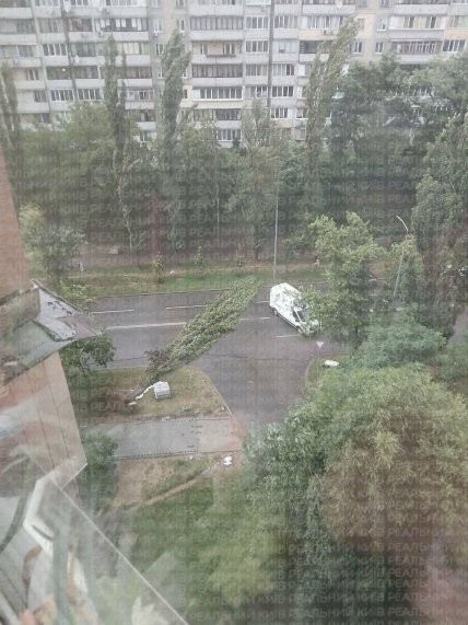 Вітер у Києві валив дерева