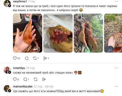 Коментарі користувачів