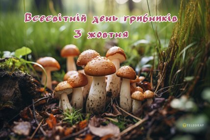 листівка з днем грибника