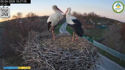 Одарка и Лель