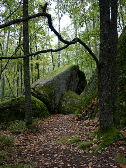 Каменное Село на Житомирщине