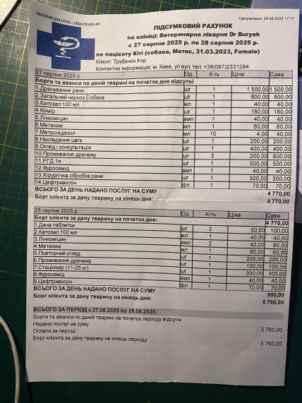 Счета за лечение