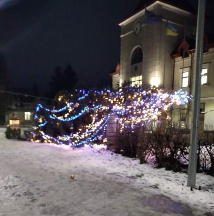 Упала ель в Пустомитах