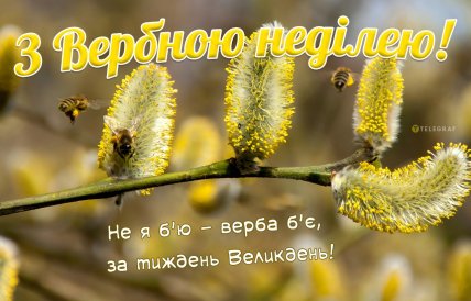 не я бью верба бьет вербное воскресенье 2026