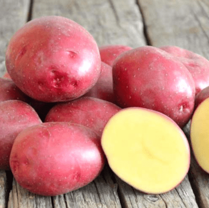 Картофель Ред Скарлетт