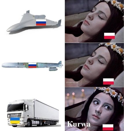 У Польщі блокують кордон України, меми