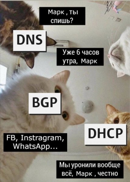Twitter живий і буде жити: збій в Instagram і Facebook породив масу мемів