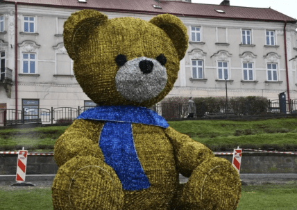 Ведмідь у Польщі з синім шарфом