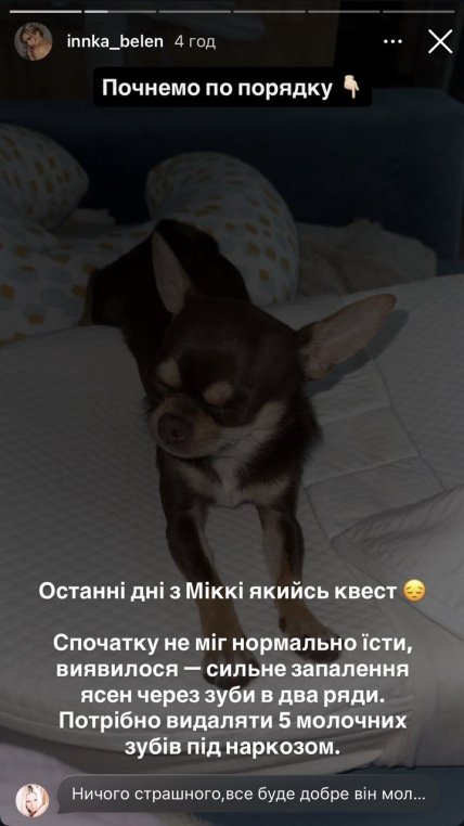 Инна Белень