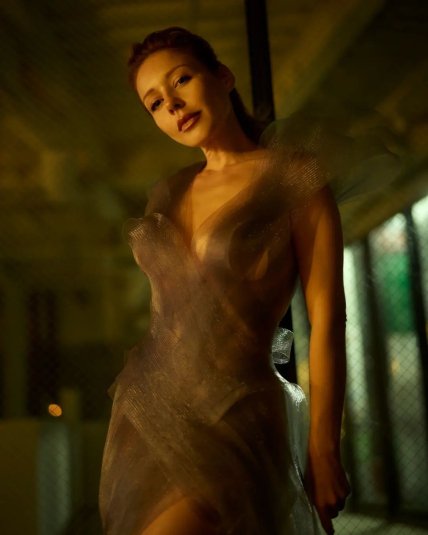 тіна кароль у сукні