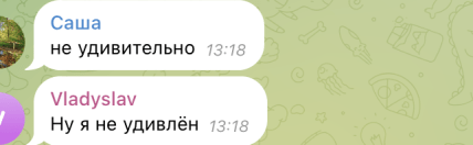 Шольцу не сподобались деякі пункти Плану перемоги Зеленського: що він робитиме