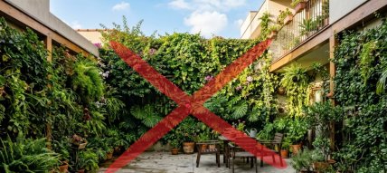 Засаженные зеленью дворы уходят в прошлое