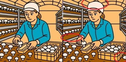 Розгадка головоломки жінка з грибами