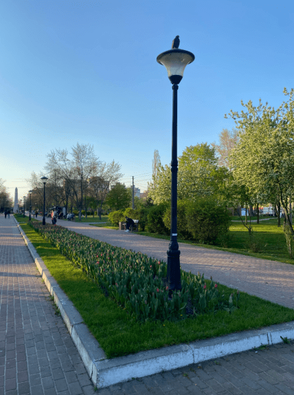 Як раніше виглядало місце, де побудували Алею Слави