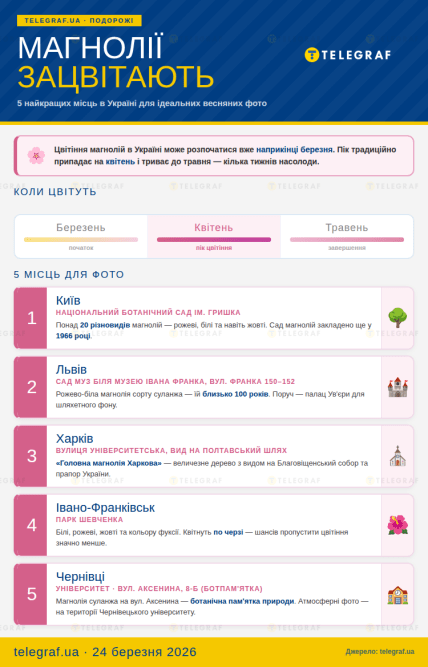 Де цвітуть магнолії в Україні: 5 найкращих локацій