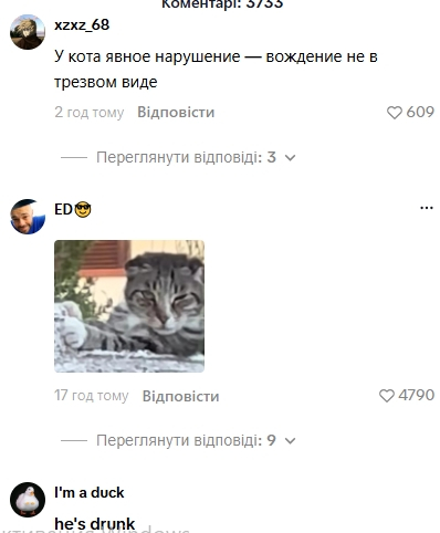 Комментарии пользователей
