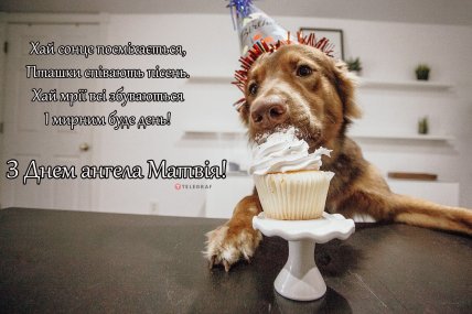 День ангела Матвея — открытки и картинки с именинами Матвей