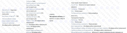 Александр Клименко декларация