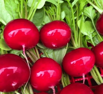 Редис Джура