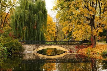 Дердропарк Олександрія в Білій Церкві, місток