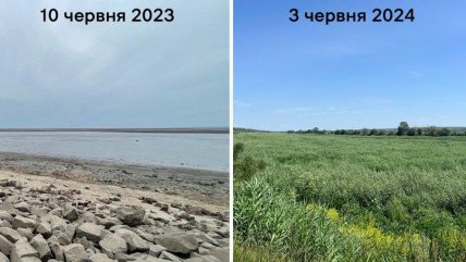 Каховское водохранилище в июне 2023 и 2024