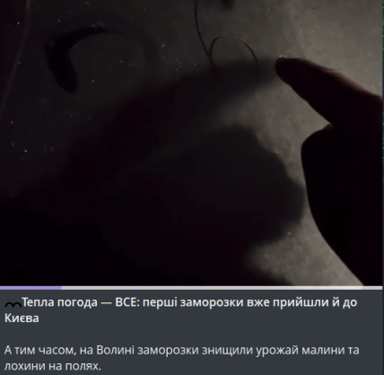 заморозки в києві