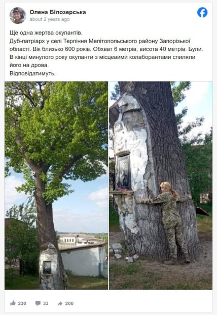 Елена Белозерская