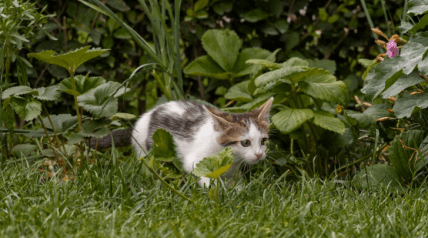 Церковный праздник 26 августа 2025