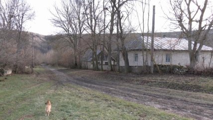 Село Притулівка