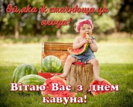 картинки день кавуна