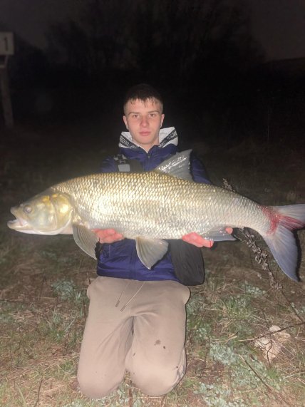 В Украине поймали большого жереха