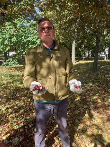 Де в Україні здають каштани