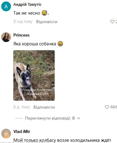 Комментарии пользователей