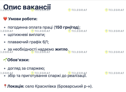 В Київській області пропонують роботу для пенсіонерів